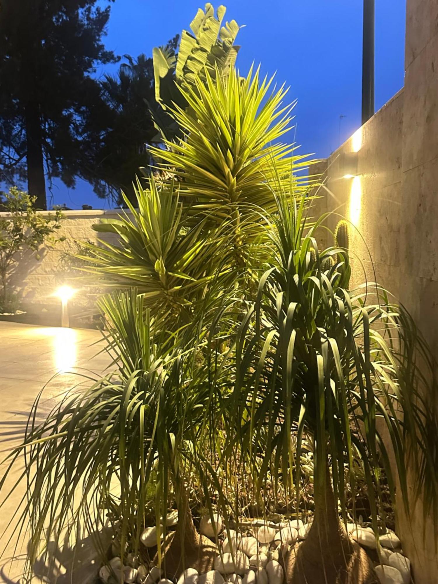 Casa Vacacional 14 Malaga